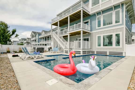 Baydream Believer - Image 1